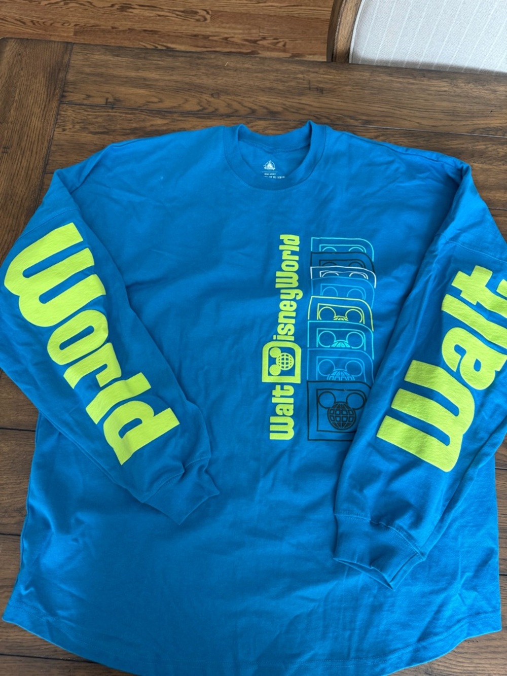 Walt Disney World spirit jersey